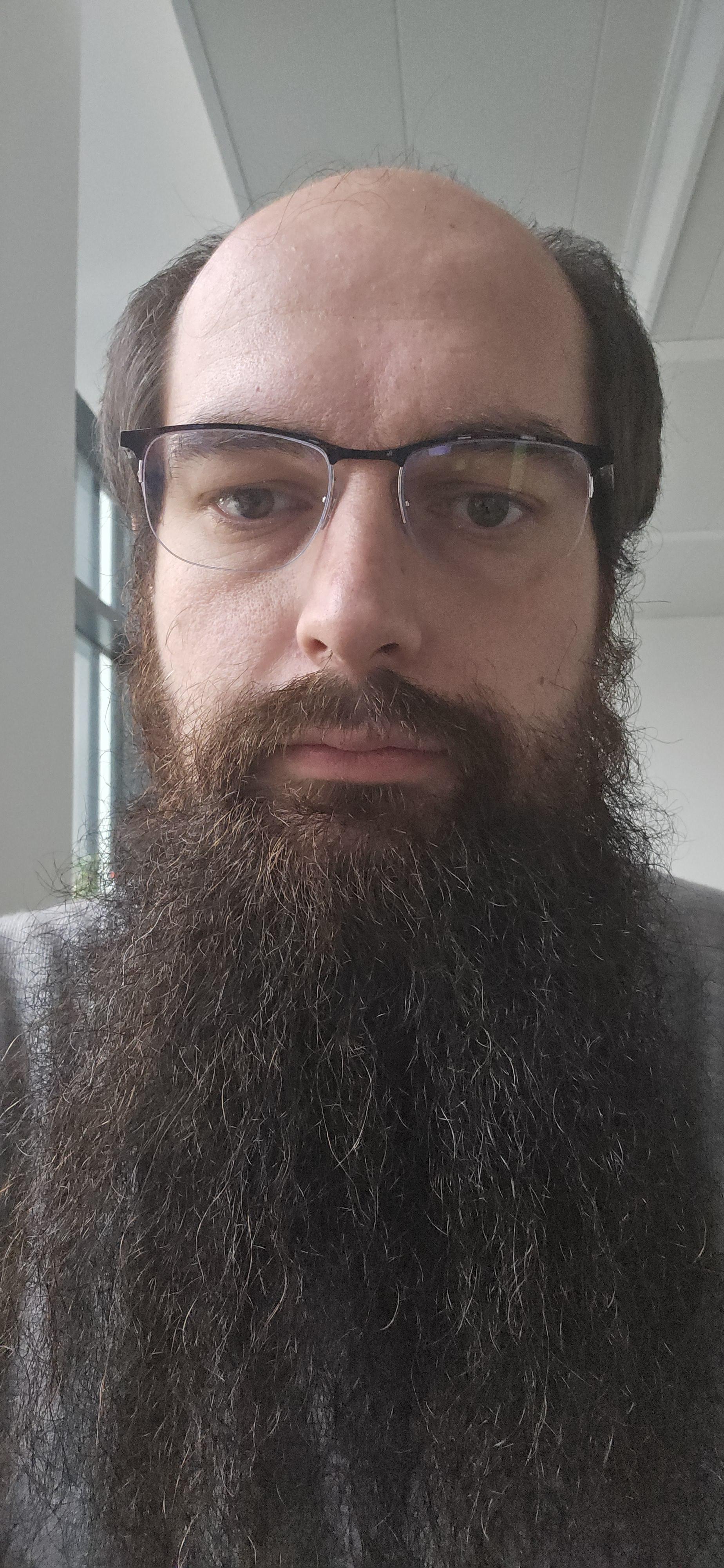 A selfie of a bored white guy with a long dark beard and dark hair around male pattern baldness, who is me. I wear a pair of black, half-rimmed thin correction glasses for the first time in my life.